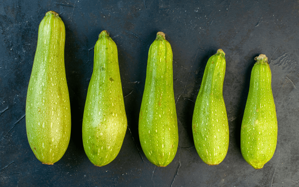 Fleischpenis vs Blutpenis / Grower vs Shower Symbolbild Zucchini in unterschiedlichen Größen /Symbolic image of zucchinis in different sizes