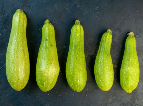 Fleischpenis vs Blutpenis / Grower vs Shower Symbolbild Zucchini in unterschiedlichen Größen /Symbolic image of zucchinis in different sizes