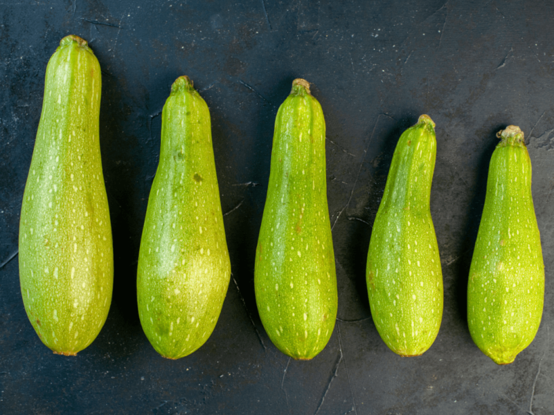 Fleischpenis vs Blutpenis / Grower vs Shower Symbolbild Zucchini in unterschiedlichen Größen /Symbolic image of zucchinis in different sizes