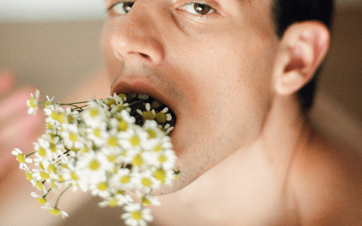 Deep Throat Tipps für Empfänger. Symbolbild: Ein Mann steckt sich einen Strauß Blumen tief in den Hals und schaut lüstern. Englisch: Deep throat tips for recipients. Symbolic image: A man sticks a bunch of flowers deep down his throat and looks lustfully.