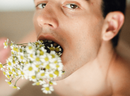 Deep Throat Tipps für Empfänger. Symbolbild: Ein Mann steckt sich einen Strauß Blumen tief in den Hals und schaut lüstern. Englisch: Deep throat tips for recipients. Symbolic image: A man sticks a bunch of flowers deep down his throat and looks lustfully.