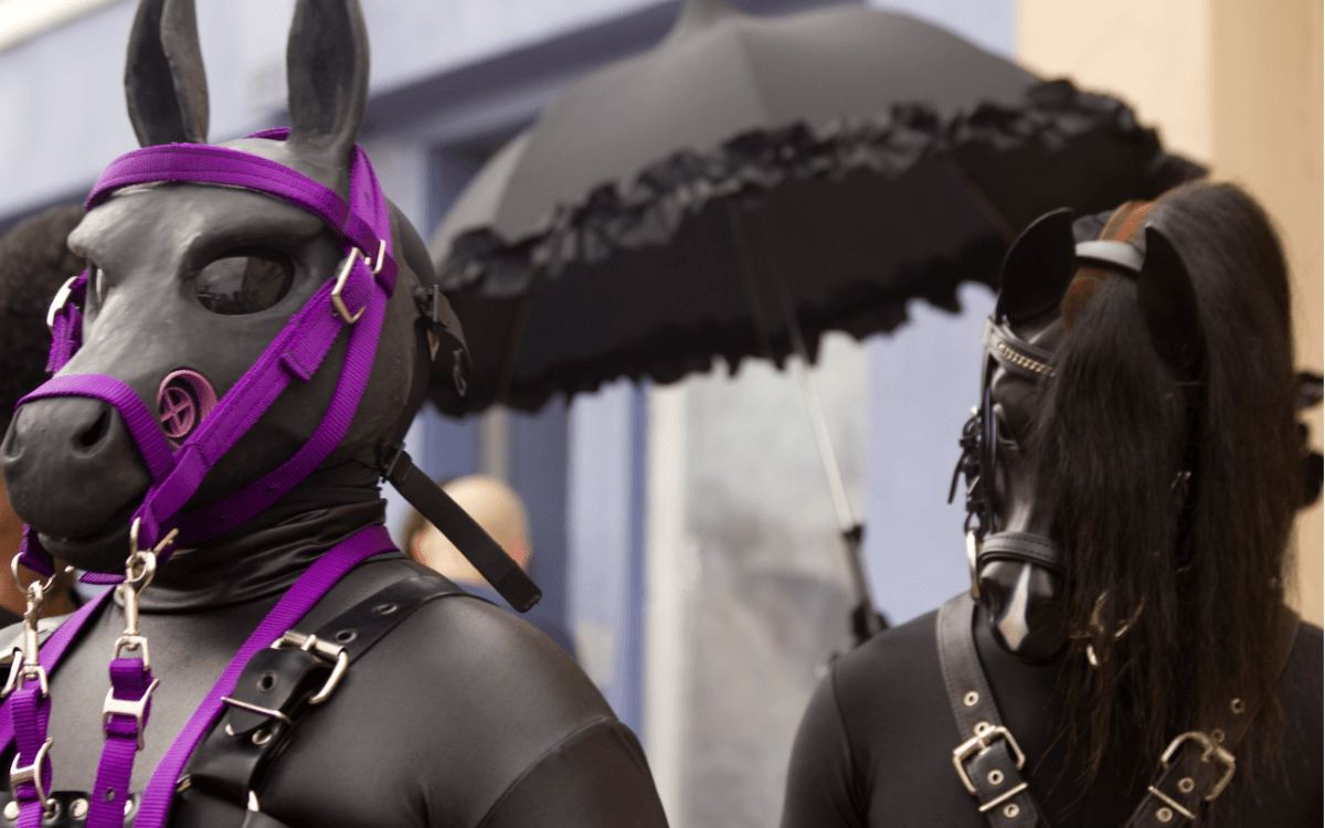 Ponyplay. Symbolbild: Pferdemaske. Englisch: Ponyplay. Symbolic image: Horse mask