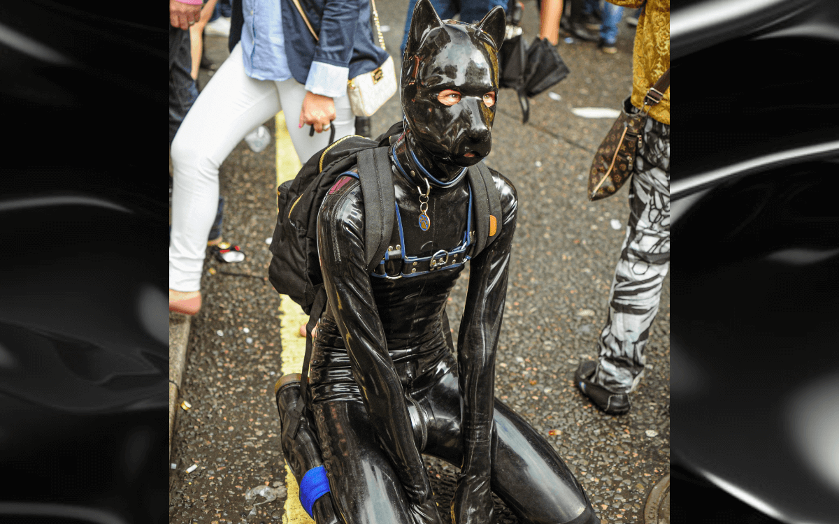 Gummifetish Symbolbild: Eine Person im Ganzkörper-Gummi-Outfit, das aussieht wie ein Hund Englisch: Rubber fetish symbol picture: a person in a full-body rubber outfit that looks like a dog