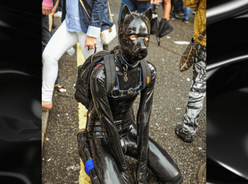 Gummifetish Symbolbild: Eine Person im Ganzkörper-Gummi-Outfit, das aussieht wie ein Hund Englisch: Rubber fetish symbol picture: a person in a full-body rubber outfit that looks like a dog