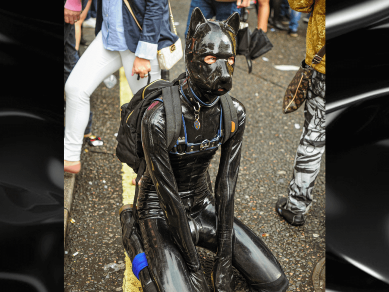 Gummifetish Symbolbild: Eine Person im Ganzkörper-Gummi-Outfit, das aussieht wie ein Hund Englisch: Rubber fetish symbol picture: a person in a full-body rubber outfit that looks like a dog