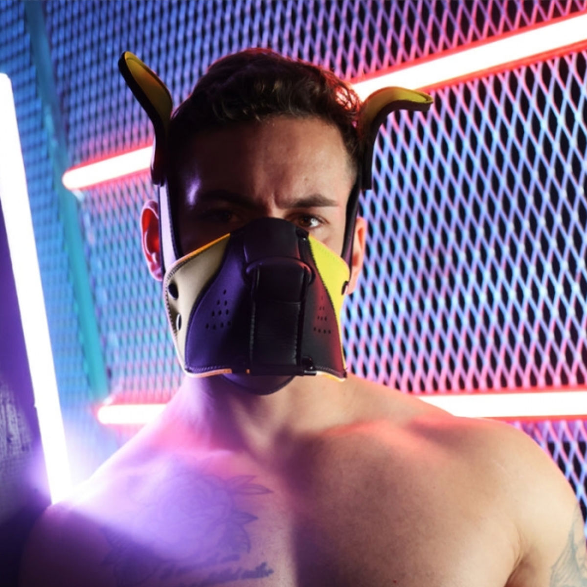 Breedwell LED Puppy Hood Black Yellow