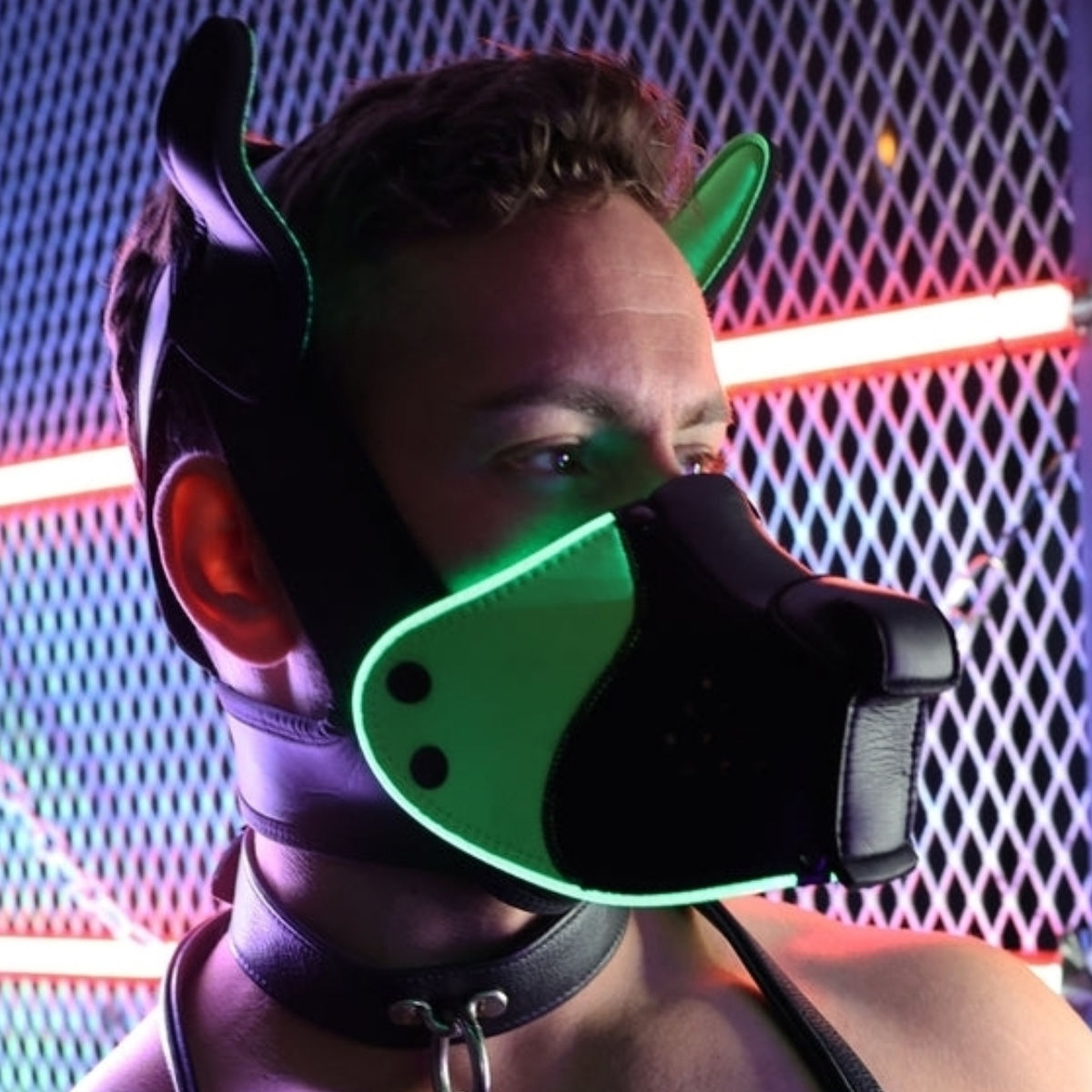 Breedwell LED Puppy Hood Black Green