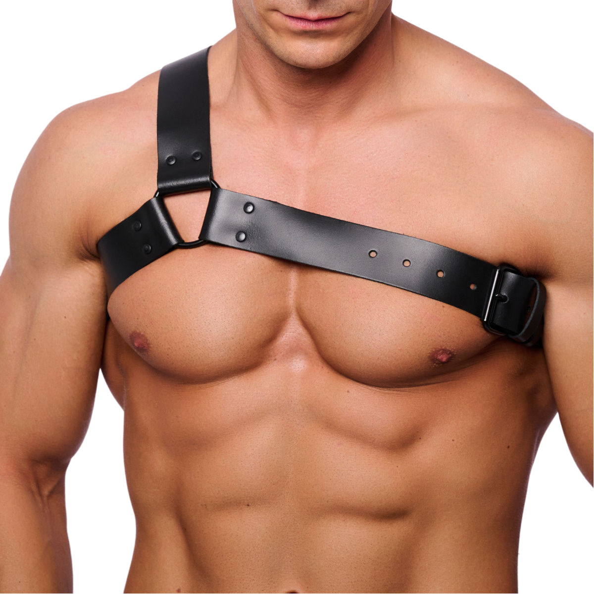 The Red Chest Strap Harness - Black