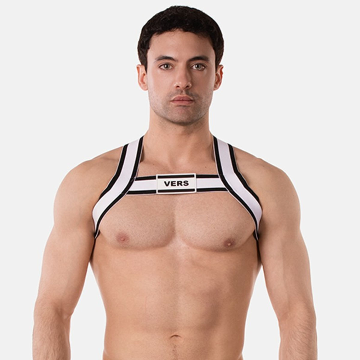 Vers Harness
