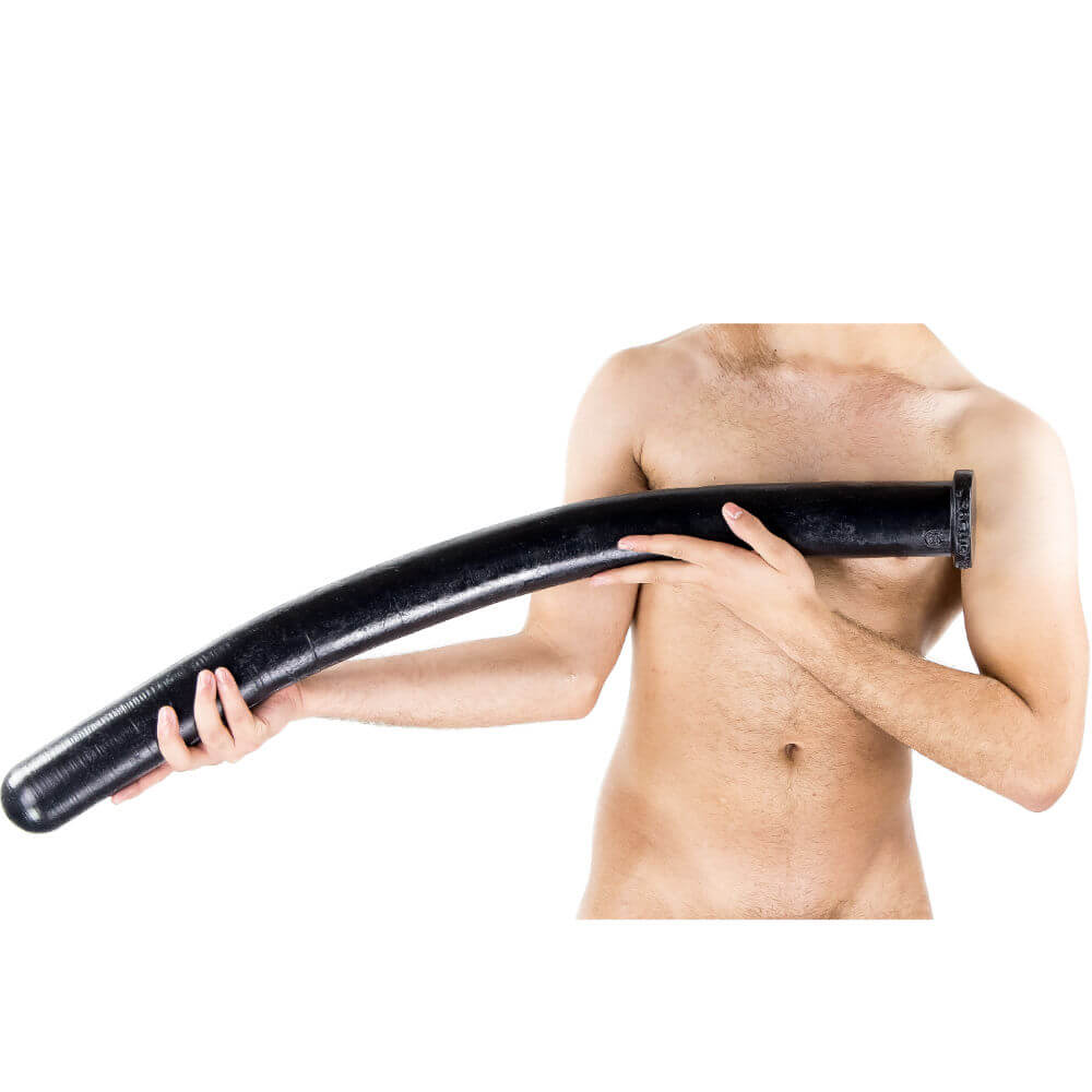 Squamata  - Analschlange 88 x 6,5 cm