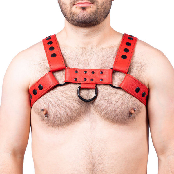 Red Snap Leather Harness | Tom Rocket's